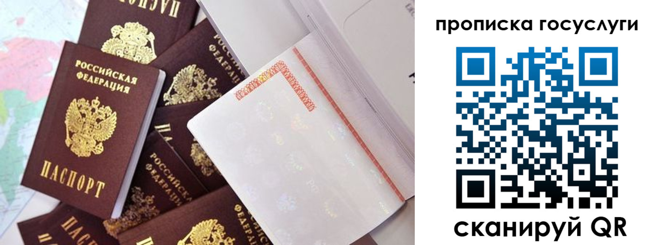 прописка поиск в Старом Осколе